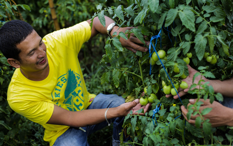 loan agricultural